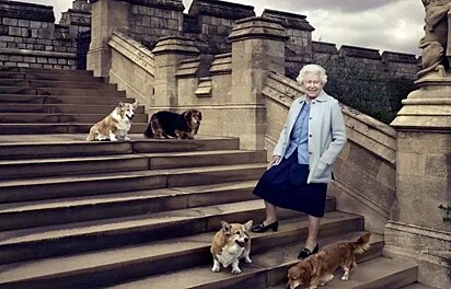 A rainha passeando com seus cães.