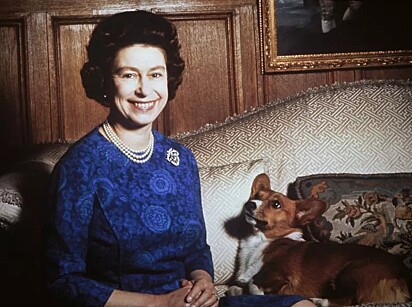 O amor da rainha pela raça nasceu em 1933.