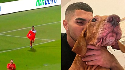 Jogador comemora gol com emocionante homenagem a sua cadela falecida.