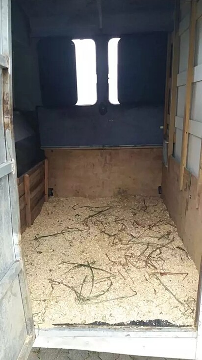 O interior do ônibus, parte que o cavalo é acomodado.