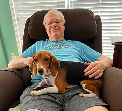 Agora o beagle tem um lar confortável para viver