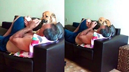 Homem que não queria saber de cachorro é flagrado alimentando pet com frutinha.