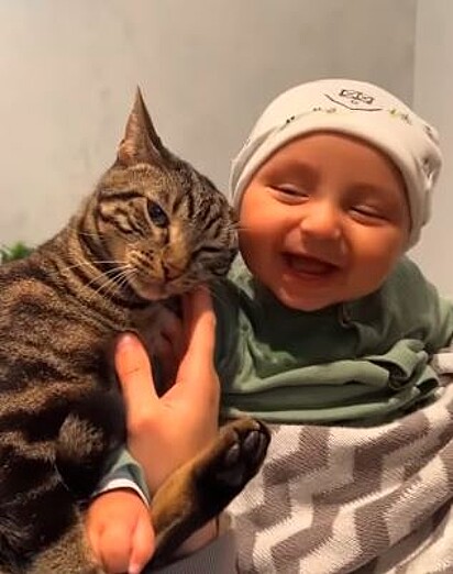 Bebê riu e beijou o gato durante a gravação