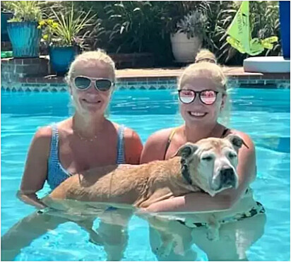 Mãe e filha estão com a cachorra na piscina