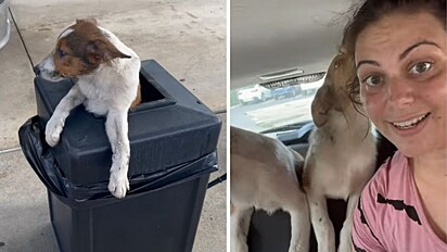 Mulher fica abalada ao encontrar dois cachorrinhos abandonados em lata de lixo.