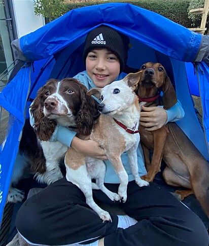 Ashley Owens com seus cachorros: Holly, Bertie e Lucia.