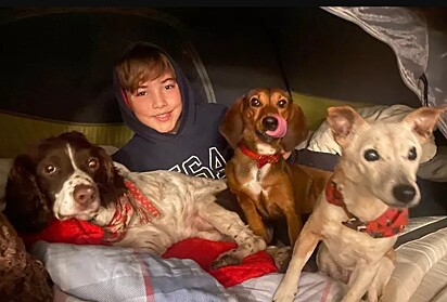 O jovem com os seus três cães de resgate.