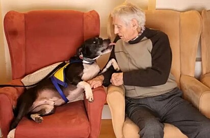 Cachorro frequenta asilo para alegrar os idosos residentes.