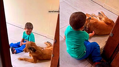 Criança consola cão ao saber que ele está doente.