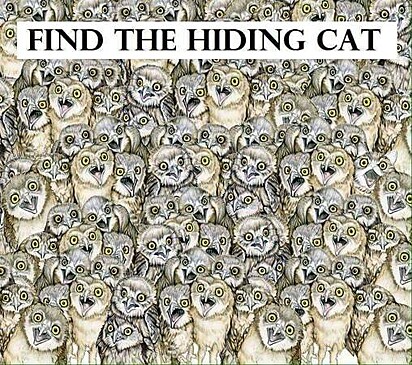 Há um gato escondido aqui. Você consegue identificá-lo?