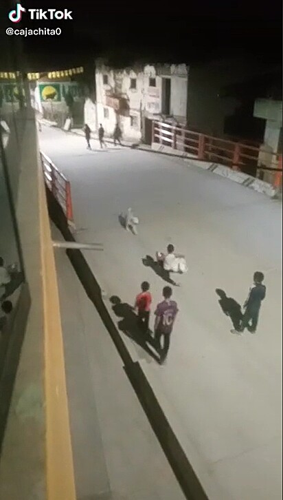 Sem saber que estavam sendo filmadas, crianças se divertem com cão de rua. 