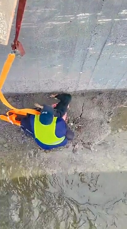 Mykhailo Puryshev desceu de ponte destruída pra resgatar cão.