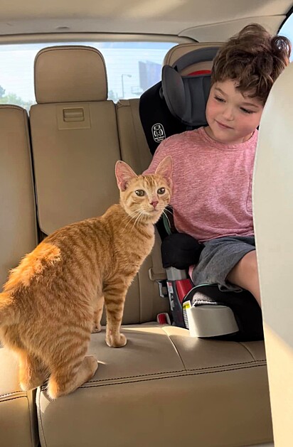 O filho de Alex escolheu um nome para a gatinha assim que a viu.