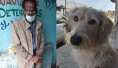 Homem cego teve o seu cão guia roubado.