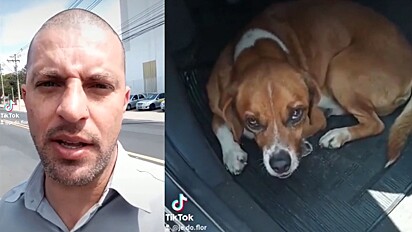 Homem adota cão após pet se recusar a sair do seu carro.