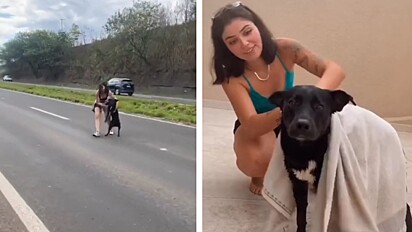 Mulher compartilha resgate de cachorro no TikTok e família o encontra.