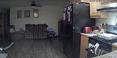 O cão começa o vídeo observando a caixa de pizza.