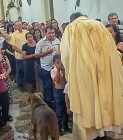 A cadelinha na missa ao lado do padre. 