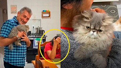 Gato de 4 orelhas é adotado e viraliza na web