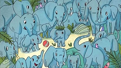 Você consegue encontrar o rinoceronte escondido entre os bebês elefantes?