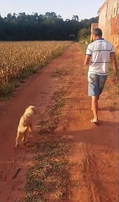 O homem levando o cão para o local do abandono. 