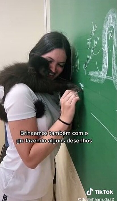 Macaco-prego participa de aula em faculdade e viraliza na web; vídeo