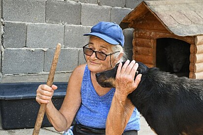 Gorica, de 71 anos, gasta cada centavo de sua pensão com os cachorros.