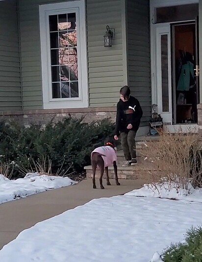 A cachorrinha entregando encomenda para um cliente.