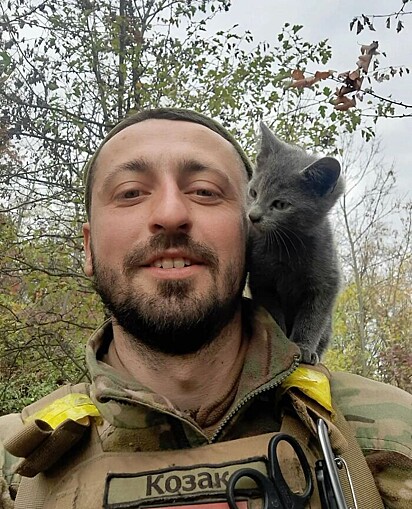 Um gatinho está no ombro do soldado