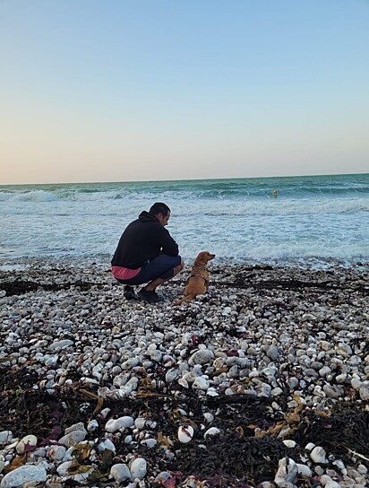 O vira-latinha conhecendo uma das praias da França.