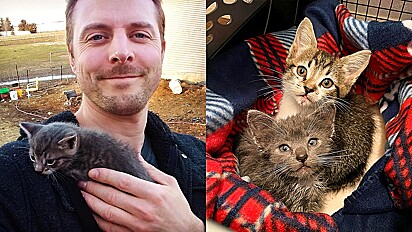 Homem resgata dois gatinhos miando pela sua mãe perdida.