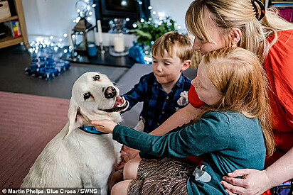 Elly e seus dois filhos estão acariciando a canina