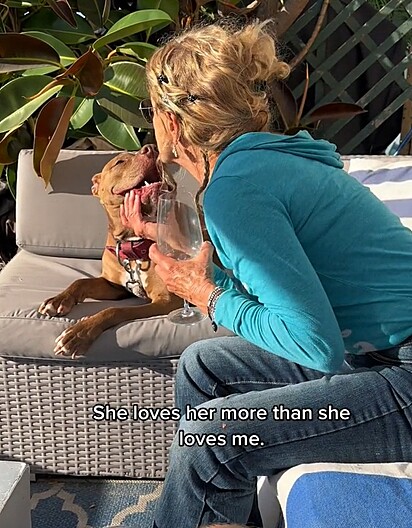 Antes de adotara Nala, a mãe de Sol não queria que ela adotasse um pit bull.
