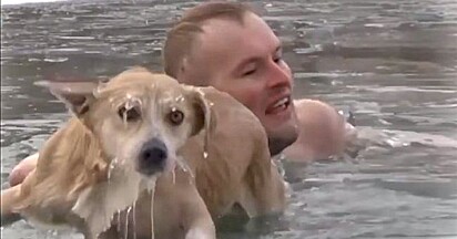O jornalista pulou na água para salvar o cão