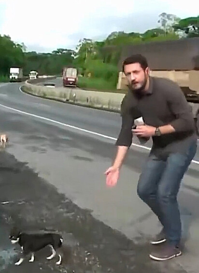 Raphael está tocando o cachorro para longe do asfalto