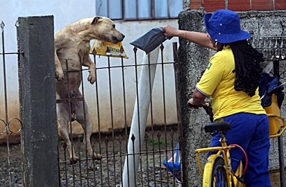 O cachorro está tentando pular a cerca enquanto a carteira deixa a correspondência