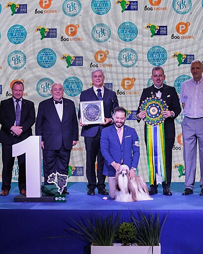 Joy ganhou em primeiro lugar na categoria Best In Show, ou “Melhor Cão do Mundo”.