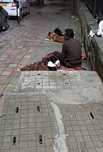 O morador de rua sentado na calçada com seus cães.