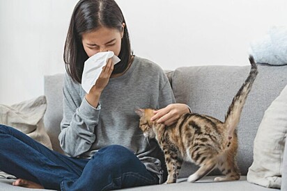Uma mulher segura um lenço enquanto faz carinho no gato 