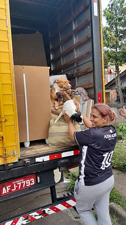 A curitibana está colocando o último cão dentro do caminhão de mudanças