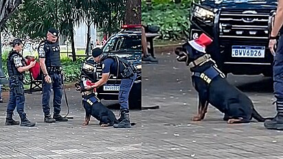 Cidadão flagra momento fofura de policiais com o cão K9.
