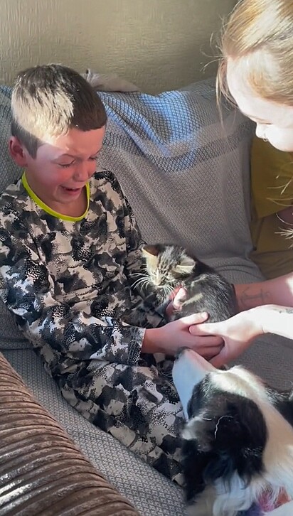 O garoto pedia o gato aos pais há mais de uma ano.