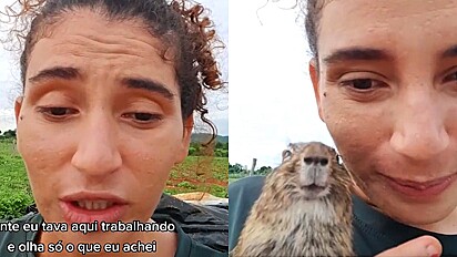 Mulher encontra animal super sorridente durante seu trabalho na roça.