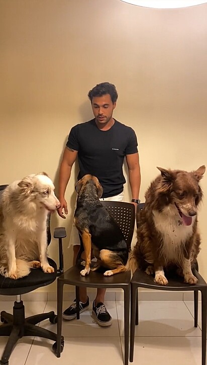 Léo convocou seus cães para uma reunião para expor saldo pós passeio.