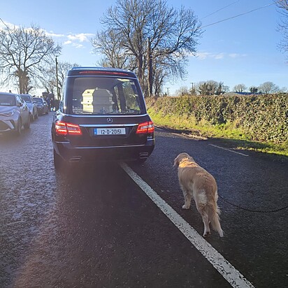 Bessie acompanhando o carro fúnebre.