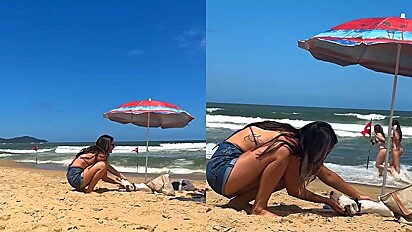Mulher ativa modo Felícia e larga marido para acariciar cachorro deitado na areia da praia.