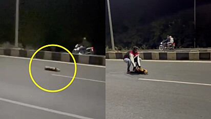 Homem recolhe cachorro morto na beira da estrada e o melhor acontece.