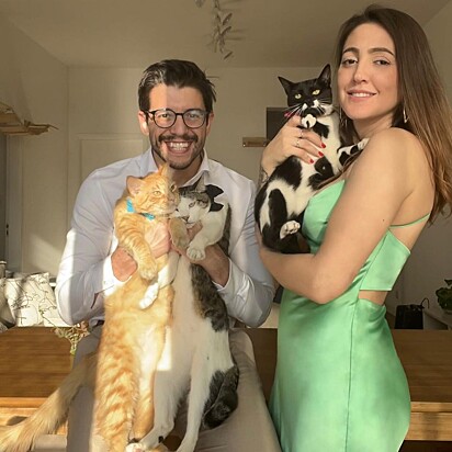 Luciana e Guilherme compartilham rotina dos gatinhos em sua vida. 