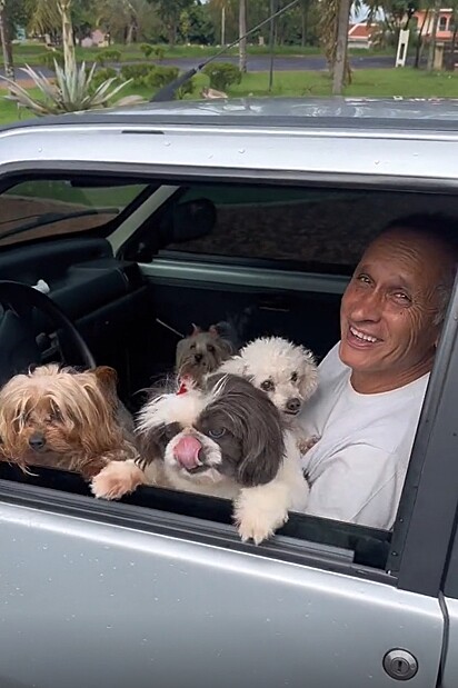 Os seis cães da família estavam no carro.