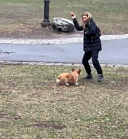 O cão adora brincar com pessoas desconhecidas.